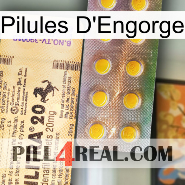 Engorge Pills new06.jpg